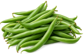 Haricot vert