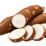Manioc
